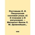 A. A. Rostovtsevs Pitsunda pine grove (with 3 p...