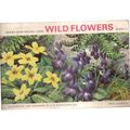WILD FLOWERS series 3.. Brooke Bond Tea complet...
