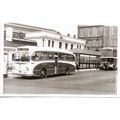 Black & White Photograph of Ribble Motor Servic...