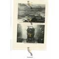 German Fleet Surrenders & Armistice Scenes, Lon...