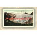 Selkirks Glacier, Canadian Rockies, Canada, Poo...