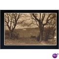 Sussex ALFRISTON Hindover Hill Postcard by Judg...