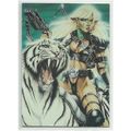 ANIMAL MYSTIC ' ONE PROMO card ' ( 1996 )