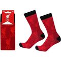 Liverpool All Over Print ADULT Socks UK 8 - 11 ...