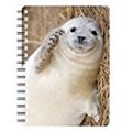 Seal Pup 3D Notebook, great birthday gift