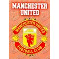 Merlin Premier Gold English Premier League 1996...