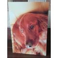 Blank Card - Golden Retriever - 0010