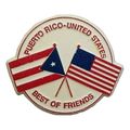 Puerto Rico-United States Best of Friends Flag ...