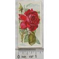 1912 Wills Roses No. 42 General McArthur