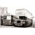 Black & White Photo of Thames Valley Traction C...
