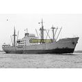 mc2104 - Greek Cargo Ship - Epimonos , built 19...