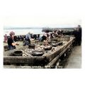 ptc2252 - I.O.M. - Fisherwomen Gutting Herrings...