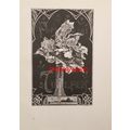Tulips, A L Koster, Book Illustration (Print), ...
