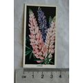 1936 Carreras Flowers No. 6 Lupins