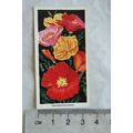 1936 Carreras Flowers No. 12 Eschscholtzias