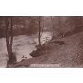 The Derwent near Hathersage Derbyshire Postcard...