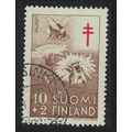 Finland White-tailed Bumble Bees collecting Pol...