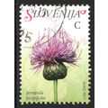 SLOVENIA 2007: FLORA - C SERRATULA LYCOPIFOLIA USED (G23)