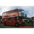 Bus Photo Stagecoach AEC Routemaster RM1224 UYJ654