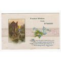 Fondest Wishes from Strood Kent Postcard 3041