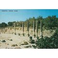 SABASTIA, ROMAN RUINS postcard