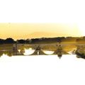 29865: Avignon: Pont Saint-Bénézet. Morning sun...