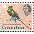 GAMBIA, BIRDS, Long-tailed Sunbird, pink 1963, ½d