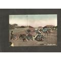 Postcard Aden Yemen Camels