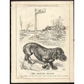 MILITARY MUZZLE 1919 John Bernard Partridge PUN...