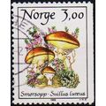 Norway. 1989 3k S.G.1053 Used