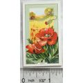 1939 Gallaher's Wild flowers No. 4 Poppy