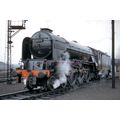 pu3496 - Engine No.60160 Auld Reekie at Haymark...