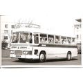 Black & White Photograph of Tillings Transport ...