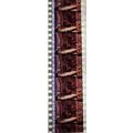 VAMPIRES. Pk MTP - b028b . 1 STRIP OF 5 - 35MM ...
