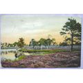 vintage postcard Tiefebane Ostenburger moorland