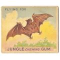 JUNGLE CHEWING GUM card # 25 FLYING FOX ( 1933 )