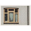 Aalborg Denmark Dog On House Window Danish Phot...