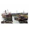 ptc2844 - Lancs. - "Nunima" Cargo Ship & Tug he...