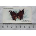 1932 John Player & Sons Butterflies No. 5 Briti...