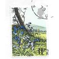 GB 1979 WOODLAND SEASON SPRING BLUEBELLS FLOWER...