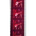 ALICE COOPER. Pk MTP - c065M . 1 STRIP OF 5 - 3...