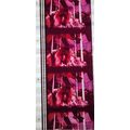 ALICE COOPER. Pk MTP - D079a . 1 STRIP OF 5 - 3...