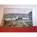 LANDS END BEACH, GOLDEN GATE , SAN FRANCISCO un...