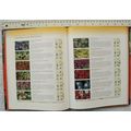 2000 Cassell's Directory of Courtyard & Patio P...