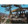 Mallorca Selva Aires de Muntanya Spain Postcard...