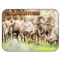 Yellowstone National Park Fridge Magnet with Bi...