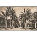 Paseo Sagrera, Palma, Mallorca, 1958 - Zerkowit...