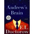 Andrew's Brain