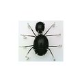 Black Onyx Spider Stainless Wire Wrap Pin Brooch 8