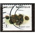 BEL 2007 (52c)(S/A) 'FRUIT- BLACKBERRIES' FINE ...